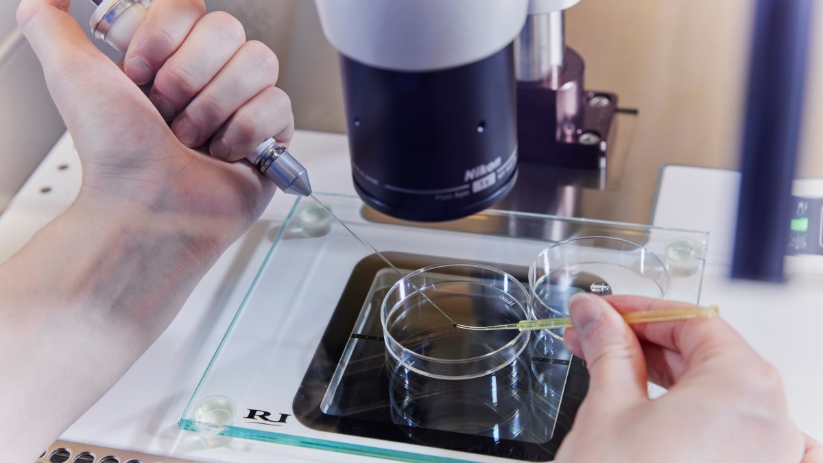 NHS clinic allegedly ‘tested embryos over fear they could go to wrong parents’