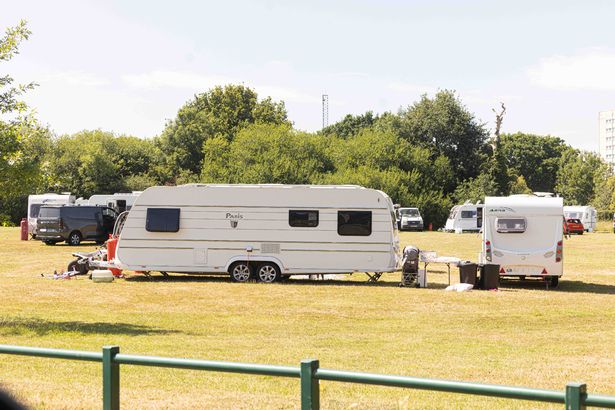 Travellers on Fairfax Park