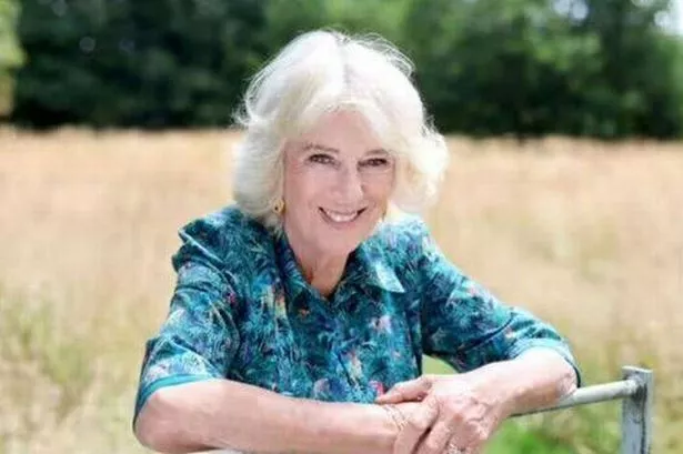 Charles married Princess Diana in 1981, but it was well-known that Camilla was his real love, it's been said 