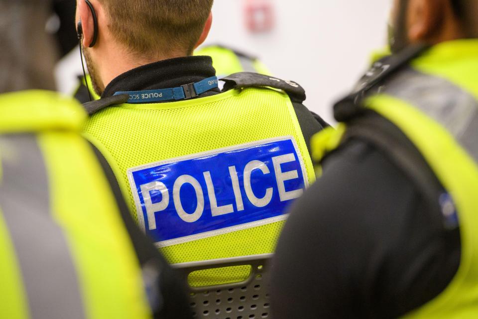 Back view of police officers in high-visibility vests.