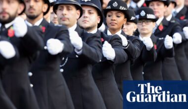 Police race action plan for England and Wales could be sidelined, monitor says | Police