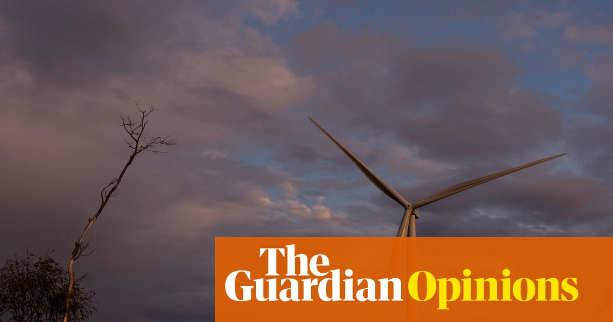 Protecting the environment has always made economic sense. Now we have proof | Nicki Hutley