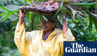 Meet Kerala’s ‘rainforest gardeners’ creating a Noah’s ark for endangered plants | Global development