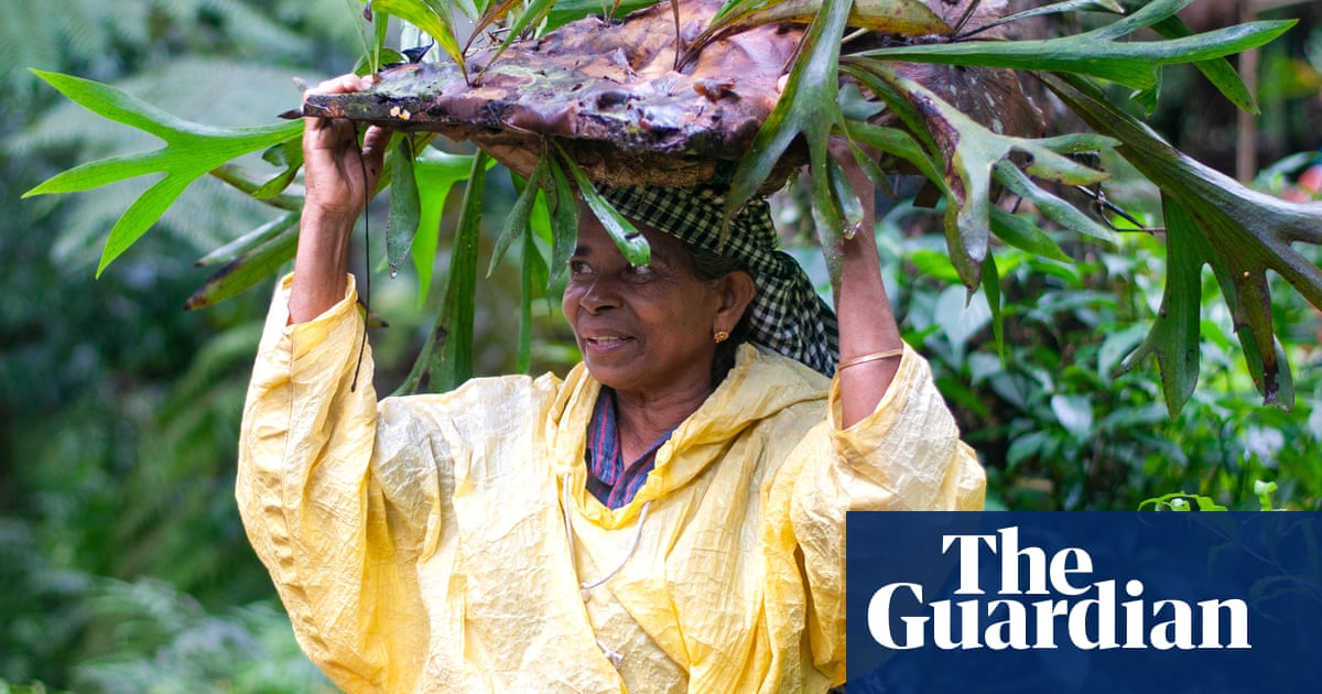 Meet Kerala’s ‘rainforest gardeners’ creating a Noah’s ark for endangered plants | Global development