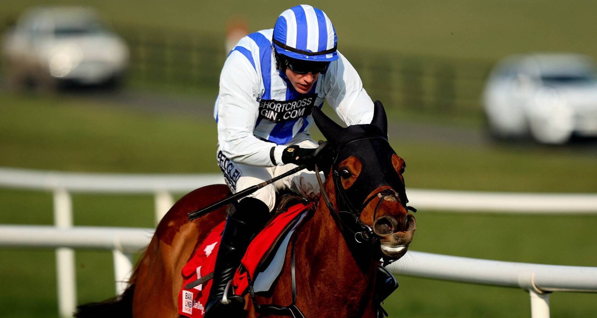 Busy day for Mullins at Galway - Horse Racing