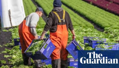 More than 80% of UK farmers worried about climate crisis harming livelihood, study finds | Farming