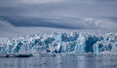 Greenland-sized sea ice lost in Antarctica, with no signs of return
