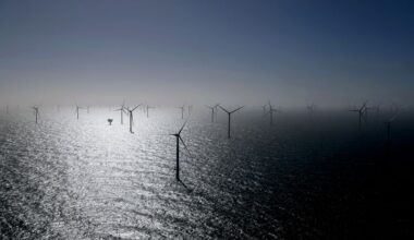 Germany's offshore wind roll-out stalls in H1, lobbies want auction design reforms