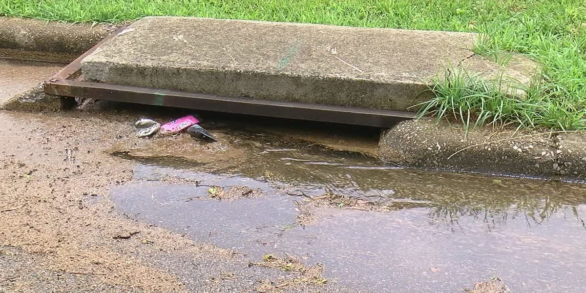 Birmingham City Council approves items to help alleviate flooding issues