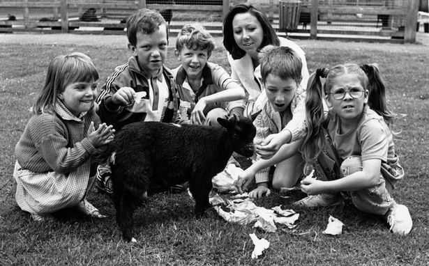 Pupils from Ronald House School in Crosby on a day out at Knowsley Safari Park in 1990