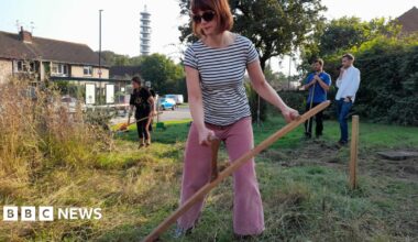 Four people are working together to scythe grass in Green Meadow. In the foreground, a woman dressed in pink trousers and a black-and-white striped T-shirt is using a garden tool. Behind her, two men are standing and another woman is also at work scattered across the partially-cleared meadow. Piles of cut grass are visible on one side, while a  rows of houses frames the background.