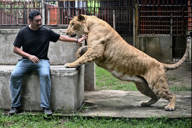 AFP News