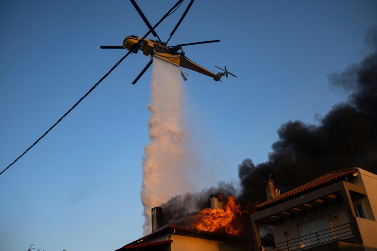 AFP News