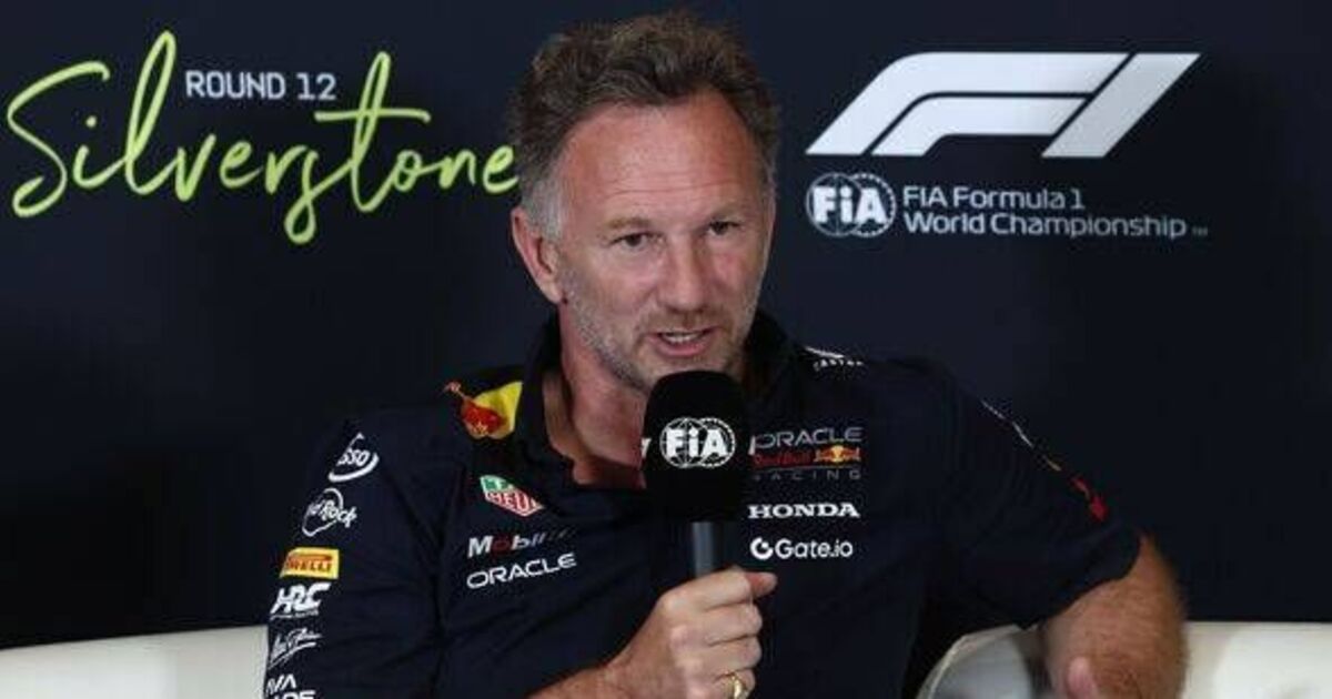 F1 star aims parting shot at Christian Horner over 'completely untrue' claim - Motorsport - Sports