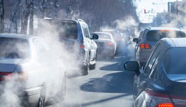 The researchers who analysed a large number of studies found a link between air pollution and dementia which blights families across the UK
