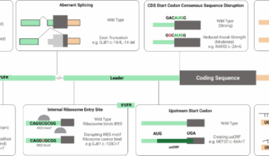 The role of untranslated region variants in Mendelian disease: a review