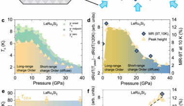 Correlation between the dome-shaped superconducting phase diagram, charge order, and normal-state electronic properties in LaRu3Si2