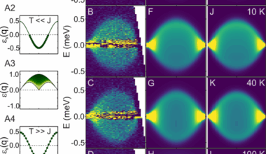 High-temperature quantum coherence of spinons in a rare-earth spin chain