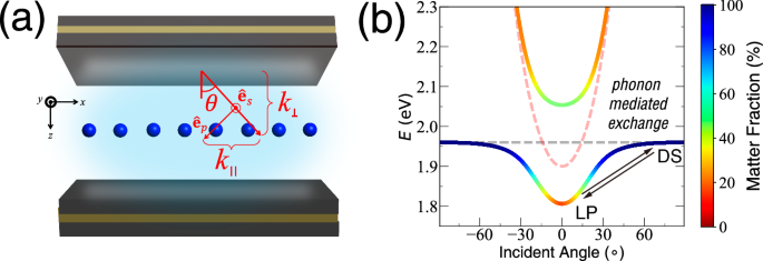 Microscopic theory of polariton group velocity renormalization
