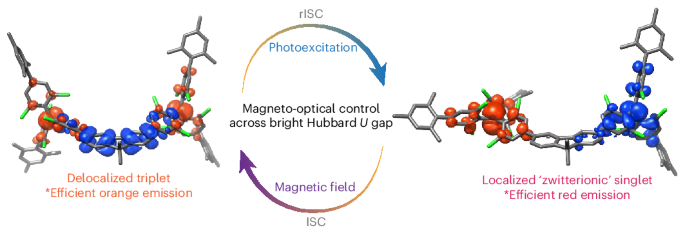 Bright triplet and bright charge-separated singlet excitons in organic diradicals enable optical read-out and writing of spin states