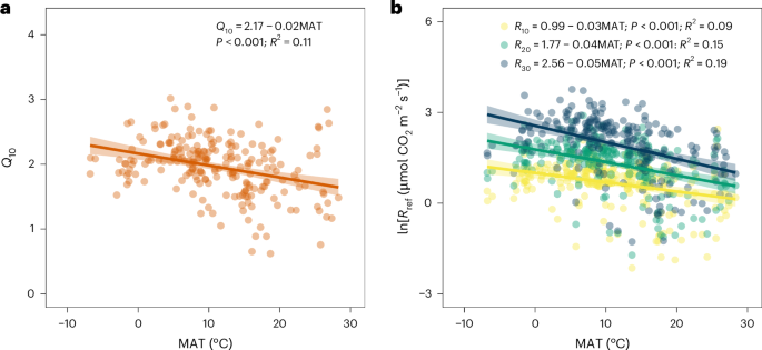 Thermal adaptation of respiration in terrestrial ecosystems alleviates carbon loss