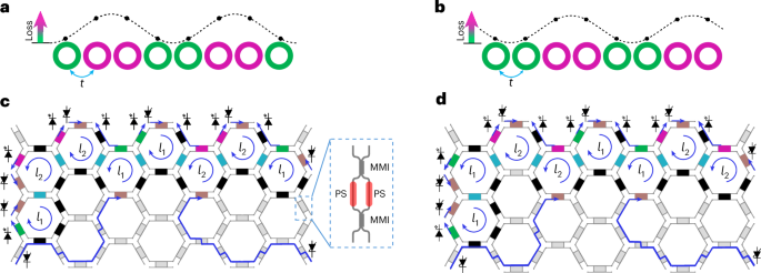 Observation of non-Hermitian topology from optical loss modulation