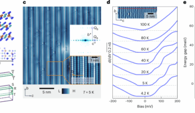Topological excitonic insulator with tunable momentum order