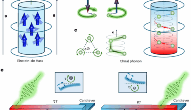 Measurement of phonon angular momentum