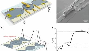 Anyonic braiding in a chiral Mach–Zehnder interferometer