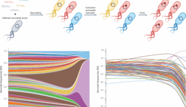 Experimental evolution in an era of molecular manipulation