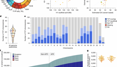 Complex genetic variation in nearly complete human genomes
