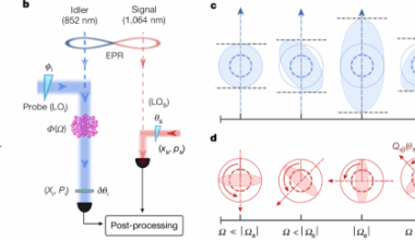 Hybrid quantum network for sensing in the acoustic frequency range