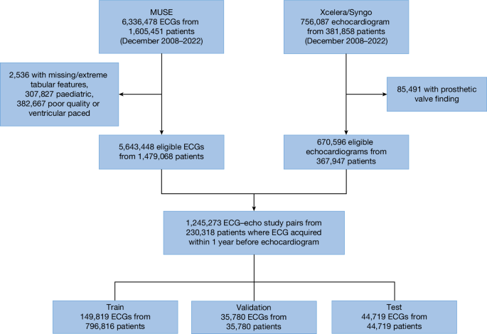 Detecting structural heart disease from electrocardiograms using AI