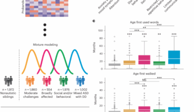 Decomposition of phenotypic heterogeneity in autism reveals underlying genetic programs