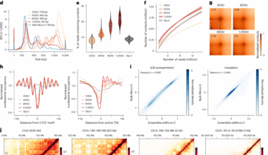 Single-cell Micro-C profiles 3D genome structures at high resolution and characterizes multi-enhancer hubs