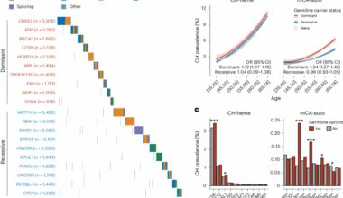 Germline genetic variation impacts clonal hematopoiesis landscape and progression to malignancy