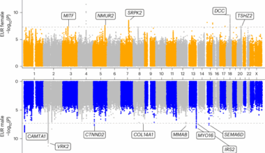 Large-scale genome-wide analyses of stuttering