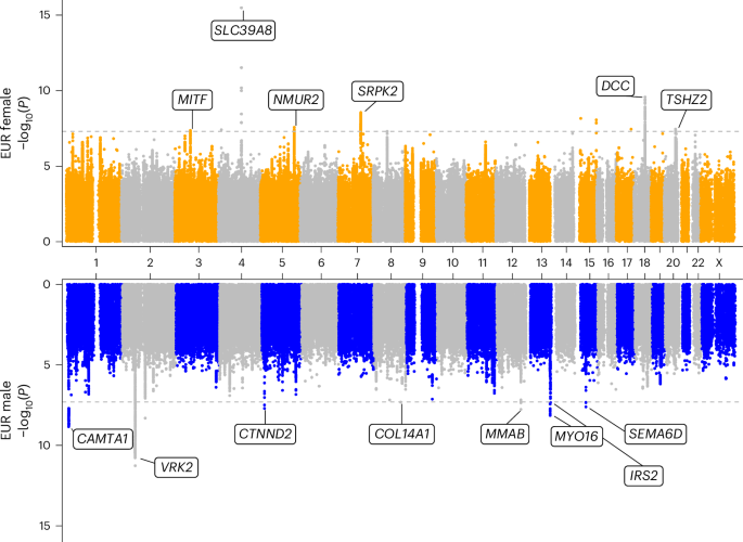 Large-scale genome-wide analyses of stuttering