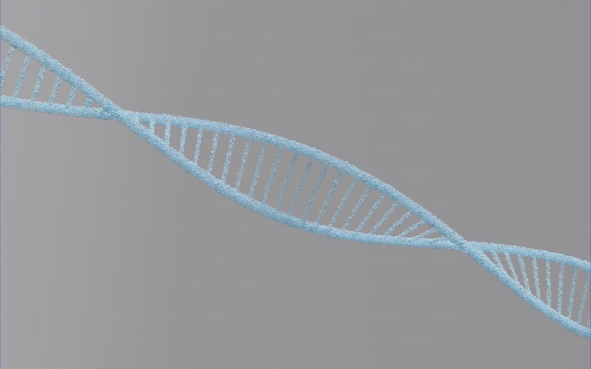 Gene swap in mice reveals clues to speech origins