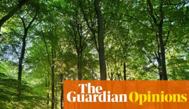 The Guardian view on the cultural life of trees: we must protect our natural heritage | Editorial