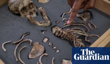 ‘It’s always been some white dude’: how Ethiopia became the world leader in uncovering the story of humankind | Global development