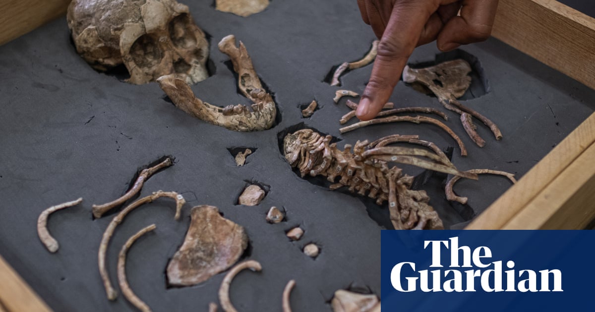 ‘It’s always been some white dude’: how Ethiopia became the world leader in uncovering the story of humankind | Global development