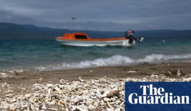 Healthy environment a human right, UN court says in landmark climate ruling | Climate crisis