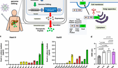 Targeted in vivo gene integration of a secretion-enabled GLP-1 receptor agonist reverses diet-induced non-genetic obesity and pre-diabetes