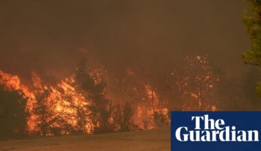 Wildfire kills at least 10 forest workers and rescuers battling blaze in Turkey | Turkey