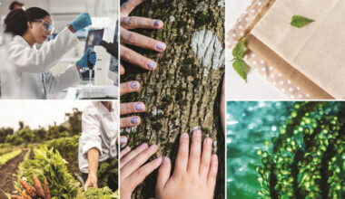 Strengthening the EU’s prosperity through sustainable and circular bioeconomy innovations | Results Pack | CORDIS