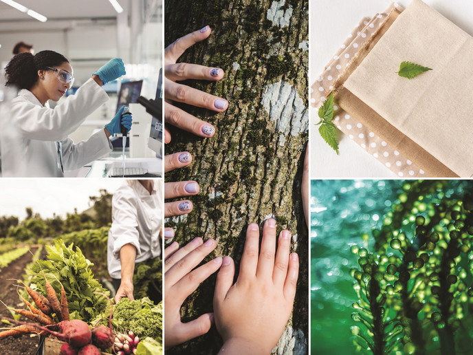 Strengthening the EU’s prosperity through sustainable and circular bioeconomy innovations | Results Pack | CORDIS