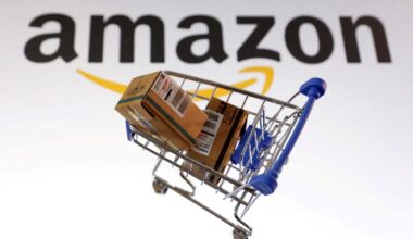 Amazon cloud computing results fail to impress, shares dive