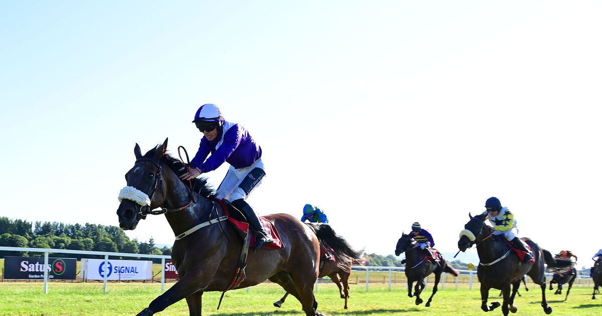 Nytol and John Shinnick deliver big win in Cork for Carrigtwohill trainer Terence O'Brien