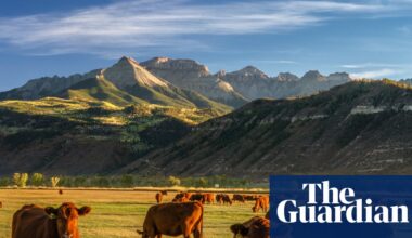 Are Australians about to see US beef on supermarket shelves? And why is Donald Trump celebrating? | Australian foreign policy